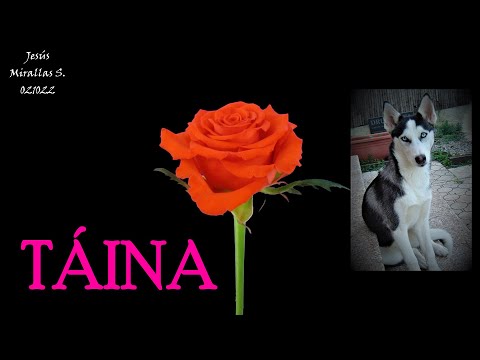 T&Aacute;INA (J.Mirallas)