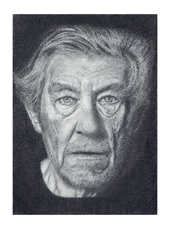 Ian McKellen - Realism Graphite Art Penchil