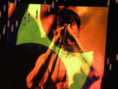 Silueta Cantante RHCP