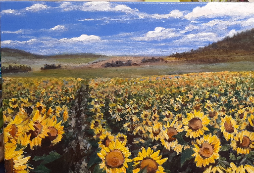 Campo de girasoles