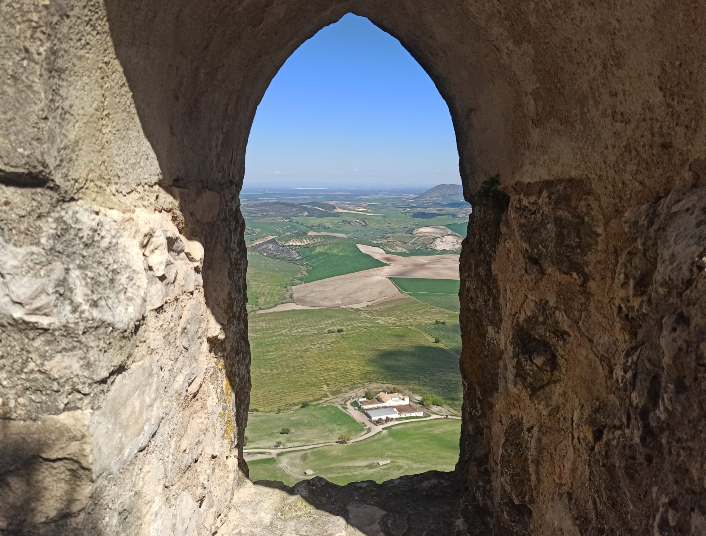 Proyecto M&ouml;wenflug 33  31_01_2024