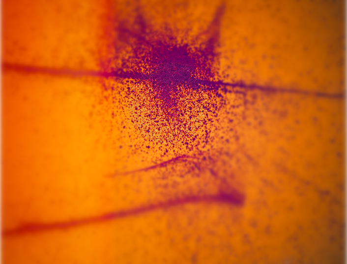 Camino a Guadalajara